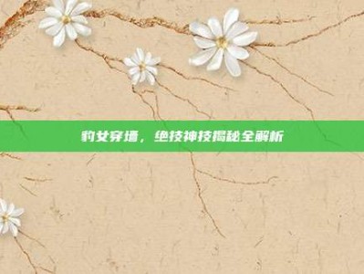 豹女穿墙，绝技神技揭秘全解析
