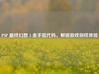 PSP 最终幻想 3 金手指代码，解锁游戏别样体验