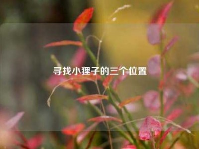 寻找小狸子的三个位置