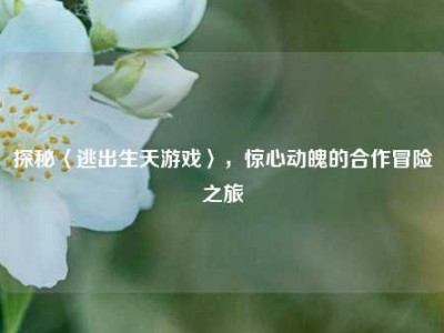 探秘〈逃出生天游戏〉，惊心动魄的合作冒险之旅