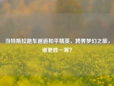 当特斯拉跑车邂逅和平精英，跨界梦幻之旅，谁更胜一筹？