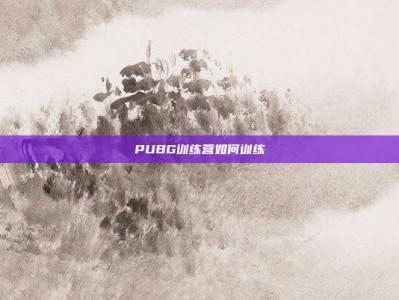 PUBG训练营如何训练