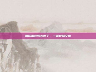 钢珠求救鸭去世了，一篇攻略文章