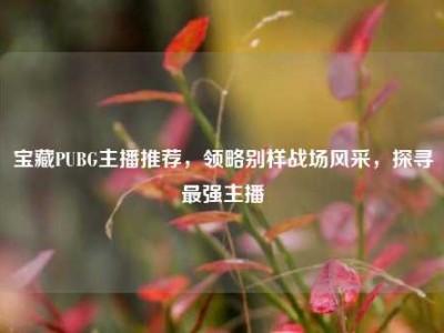 宝藏PUBG主播推荐，领略别样战场风采，探寻最强主播