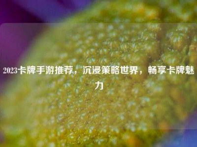 2023卡牌手游推荐，沉浸策略世界，畅享卡牌魅力
