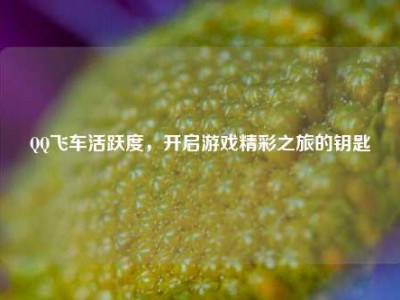 QQ飞车活跃度，开启游戏精彩之旅的钥匙
