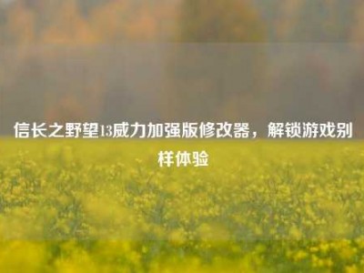 信长之野望13威力加强版修改器，解锁游戏别样体验