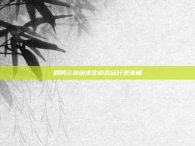 如何让绝地求生游戏运行更流畅