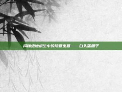揭秘绝地求生中的隐藏宝藏——白头盔箱子