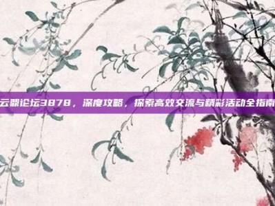 云鼎论坛3878，深度攻略，探索高效交流与精彩活动全指南