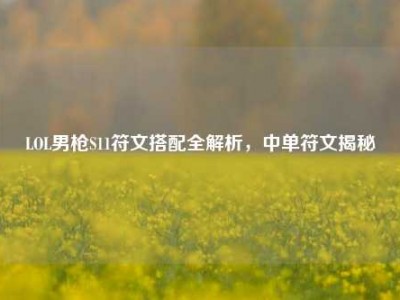 LOL男枪S11符文搭配全解析，中单符文揭秘