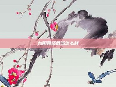 九阴真经武当怎么样