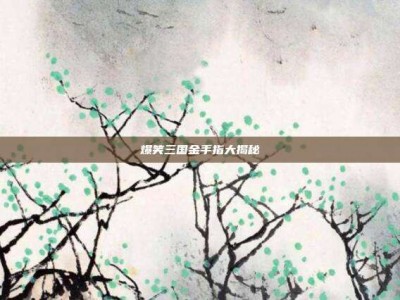 爆笑三国金手指大揭秘