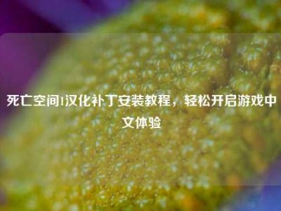 死亡空间1汉化补丁安装教程，轻松开启游戏中文体验