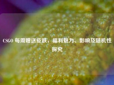 CSGO 每周赠送皮肤，福利魅力、影响及随机性探究