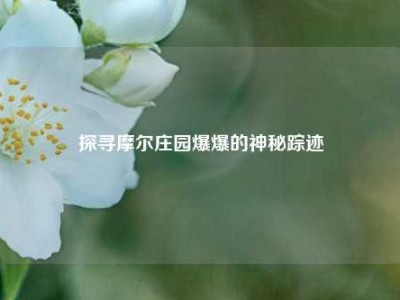 探寻摩尔庄园爆爆的神秘踪迹