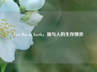 Last Day on Earth，猪与人的生存博弈