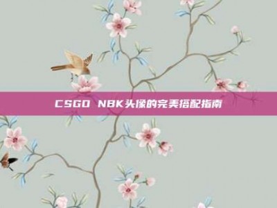 CSGO NBK头像的完美搭配指南