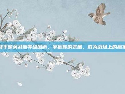 和平精英武器等级图解，掌握你的装备，成为战场上的赢家