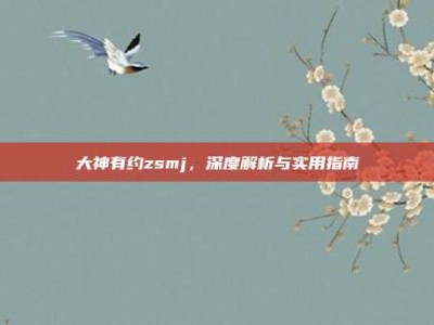 大神有约zsmj，深度解析与实用指南