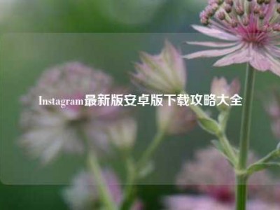 Instagram最新版安卓版下载攻略大全