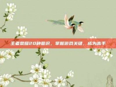 王者荣耀20种意识，掌握游戏关键，成为高手