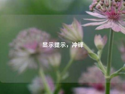 显示提示，冲锋