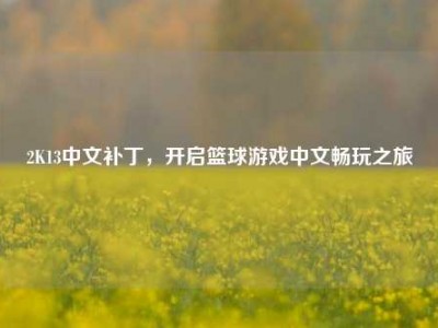 2K13中文补丁，开启篮球游戏中文畅玩之旅