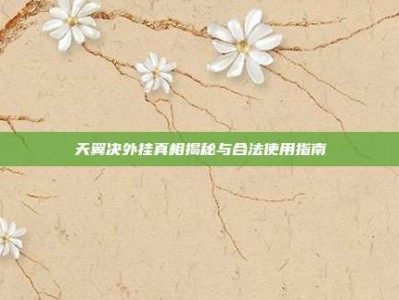 天翼决外挂真相揭秘与合法使用指南