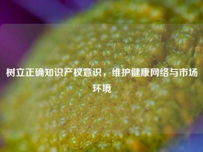 树立正确知识产权意识，维护健康网络与市场环境