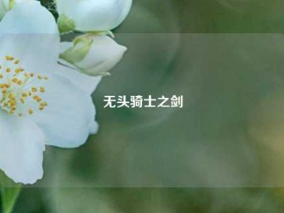 无头骑士之剑