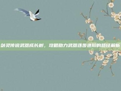 剑灵传说武器成长树，攻略助力武器逐步进阶的路径解析