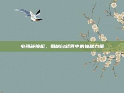 电鳗碰撞机，揭秘自然界中的神秘力量