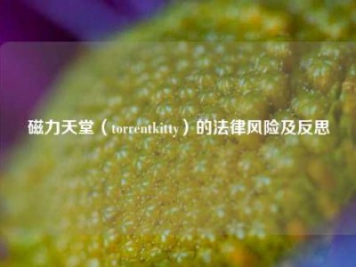 磁力天堂（torrentkitty）的法律风险及反思