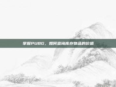 掌握PUBG，如何查询库存物品的价值