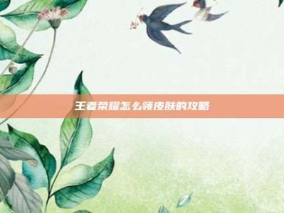 王者荣耀怎么领皮肤的攻略