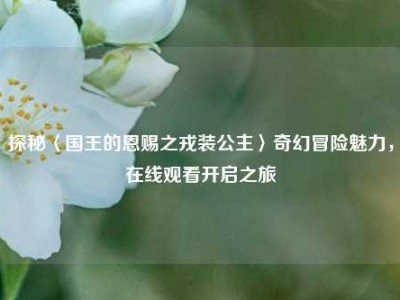 探秘〈国王的恩赐之戎装公主〉奇幻冒险魅力，在线观看开启之旅