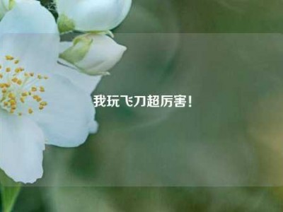我玩飞刀超厉害！