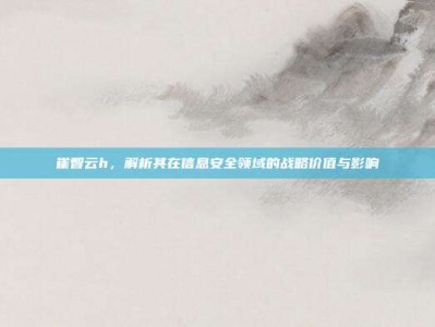 崔智云h，解析其在信息安全领域的战略价值与影响
