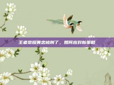 王者荣耀黄忠被削了，如何应对新策略