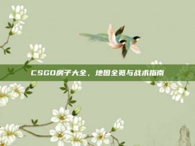 CSGO房子大全，地图全览与战术指南