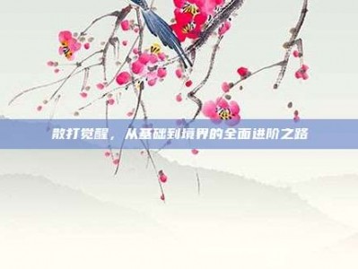 散打觉醒，从基础到境界的全面进阶之路