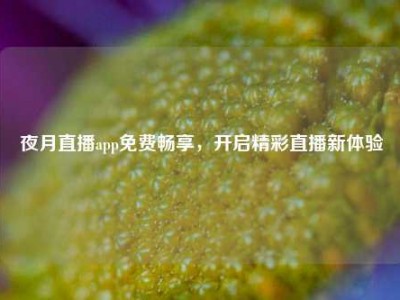 夜月直播app免费畅享，开启精彩直播新体验