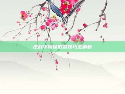逆战中镜像放置技巧全解析
