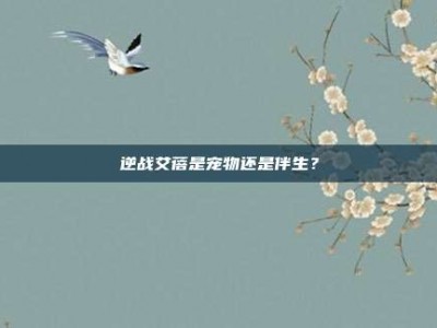 逆战艾蓓是宠物还是伴生？