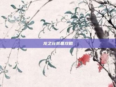 龙之谷装备攻略