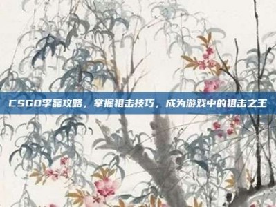 CSGO李磊攻略，掌握狙击技巧，成为游戏中的狙击之王