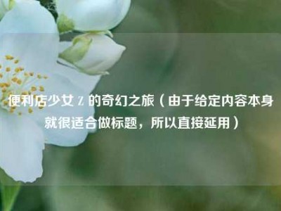 便利店少女 Z 的奇幻之旅（由于给定内容本身就很适合做标题，所以直接延用）