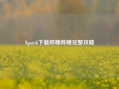 Xpatch下载哔哩哔哩完整攻略