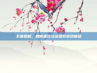 王者荣耀，如何通过认证提升游戏体验